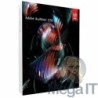 Audition CS6 - Licencja Wieczysta (LifeTime) - Windows - Licencja Biznes - BOX (ESD)