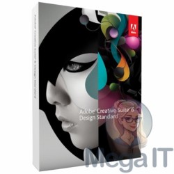 Design Standard CS6 - Licencja Wieczysta (LifeTime) - Windows - Licencja Biznes - BOX (ESD)