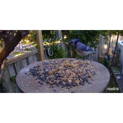 Kamera IP Reolink GO Series G330 z panelem solarnym