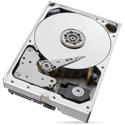 DYSK HDD Seagate SkyHawk AI ST10000VE001 10TB