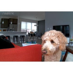 Kamera IP Reolink E340 wewnętrzna obrotowa 8MPx WiFi biała