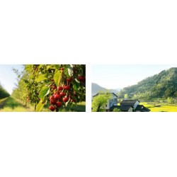 Kamera IP Dahua IPC-HFW2441DG-4G-SP-B-0360B