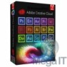 Master Collection CC 2020 - Licencja Wieczysta (LifeTime) - Windows - Użytkownik Indywidualny - BOX (ESD)