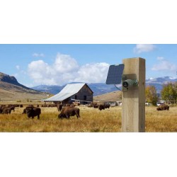 Kamera IP Reolink GO Series G330 camuflage z panelem solarnym