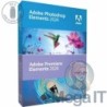 Photoshop & Premiere Elements 2024 - Licecja Wieczysta (LifeTime) - Windows - Edukacyjna - BOX (USB)