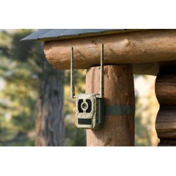 Fotopułapka Reolink Camovue 8MP LTE Talon Series S130