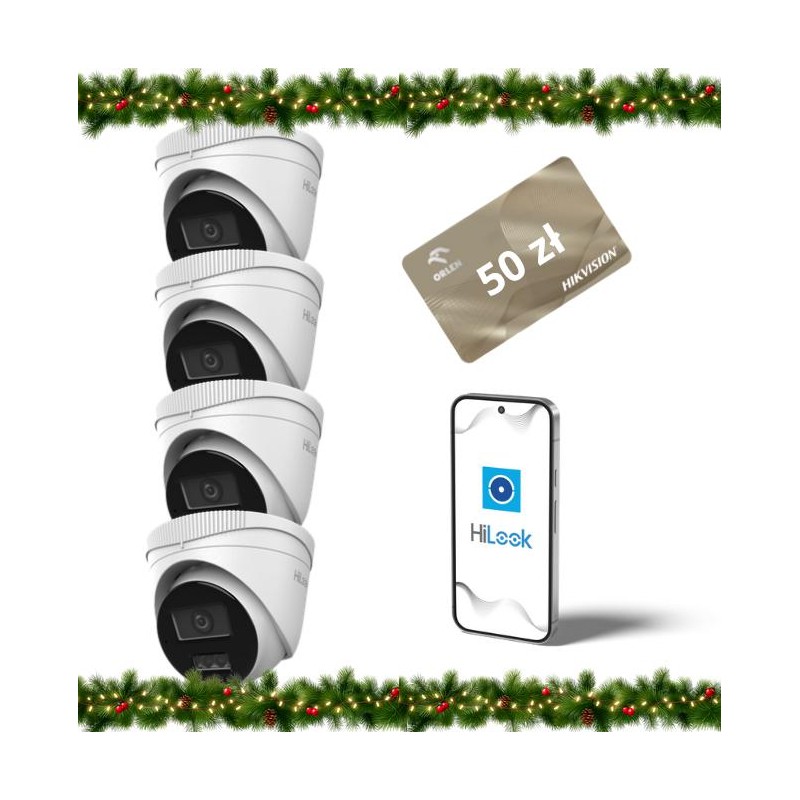 Kamera IP Hilook by Hikvision kopułka 4MP IPCAM-T4-30DL Opakowanie zbiorcze 4 szt.