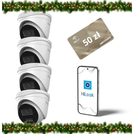 Kamera IP Hilook by Hikvision kopułka 4MP IPCAM-T4-30DL Opakowanie zbiorcze 4 szt.