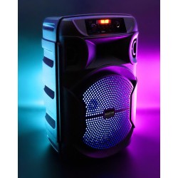 Głośnik mobilny SQUEAK SQ1006 30W Radio FM Czarny