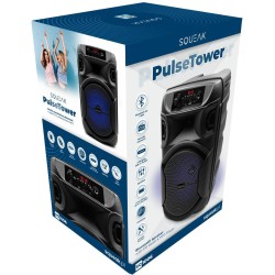 Głośnik mobilny SQUEAK SQ1006 30W Radio FM Czarny