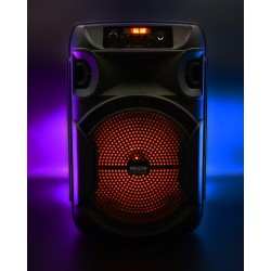 Głośnik mobilny SQUEAK SQ1006 30W Radio FM Czarny