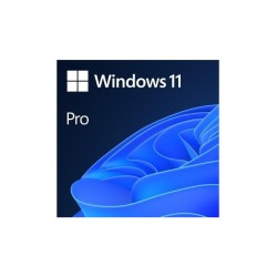 Microsoft Windows 11 Professional - MegaIT
