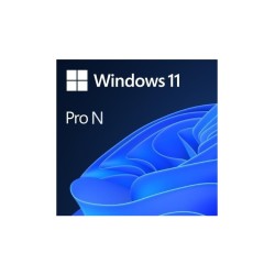 Microsoft Windows 11 Professional N - MegaIT