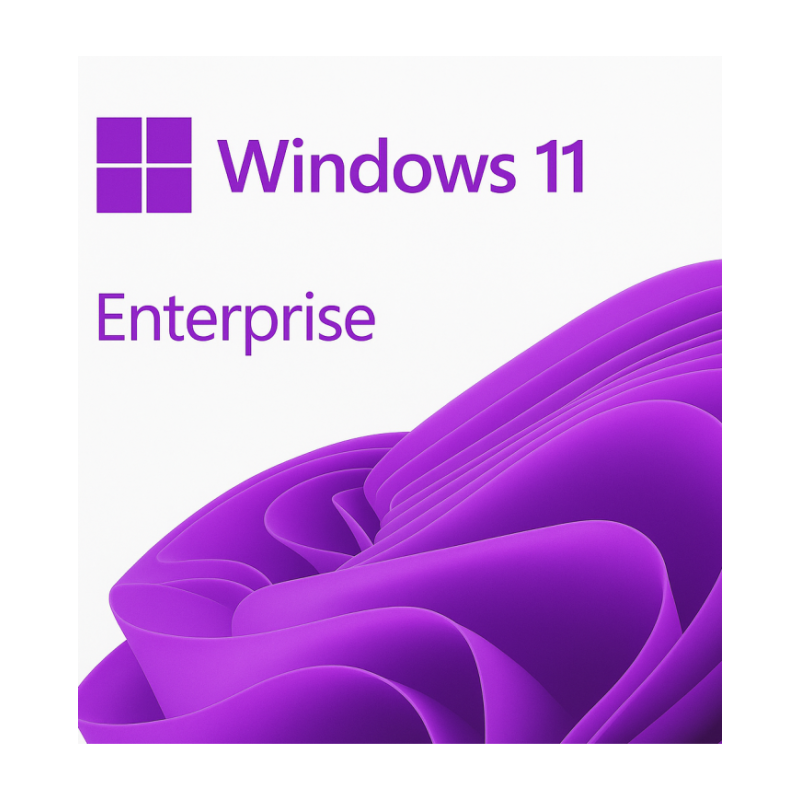 Windows 11 Enterprise - MegaIT