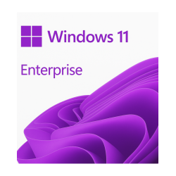 Windows 11 Enterprise - MegaIT
