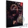 Premiere Pro CS6 - Licencja Wieczysta (LifeTime) - Windows - Licencja Biznes - BOX (ESD)