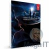 Production Premium CS6 - Licencja Wieczysta (LifeTime) - Windows - Użytkownik Indywidualny - BOX (ESD)