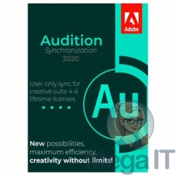 Synchronizacja Audition 2020 - Licencja Wieczysta (LifeTime) - Windows - Użytkownik Indywidualny - BOX (ESD)
