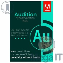 Synchronizacja Audition 2020 - Licencja Wieczysta (LifeTime) - Windows - Użytkownik Indywidualny - BOX (USB)