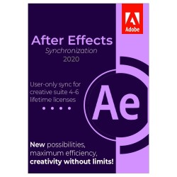 Synchronizacja After Effects 2020 - Licencja Wieczysta (LifeTime) - Windows - Użytkownik Indywidualny - BOX (USB)