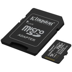 Karta pamięci microSD Kingston Canvas Select Plus microSDXC C10 UHS-I 256GB