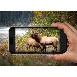 Fotopułapka Reolink Camovue 8MP LTE Talon Series T130