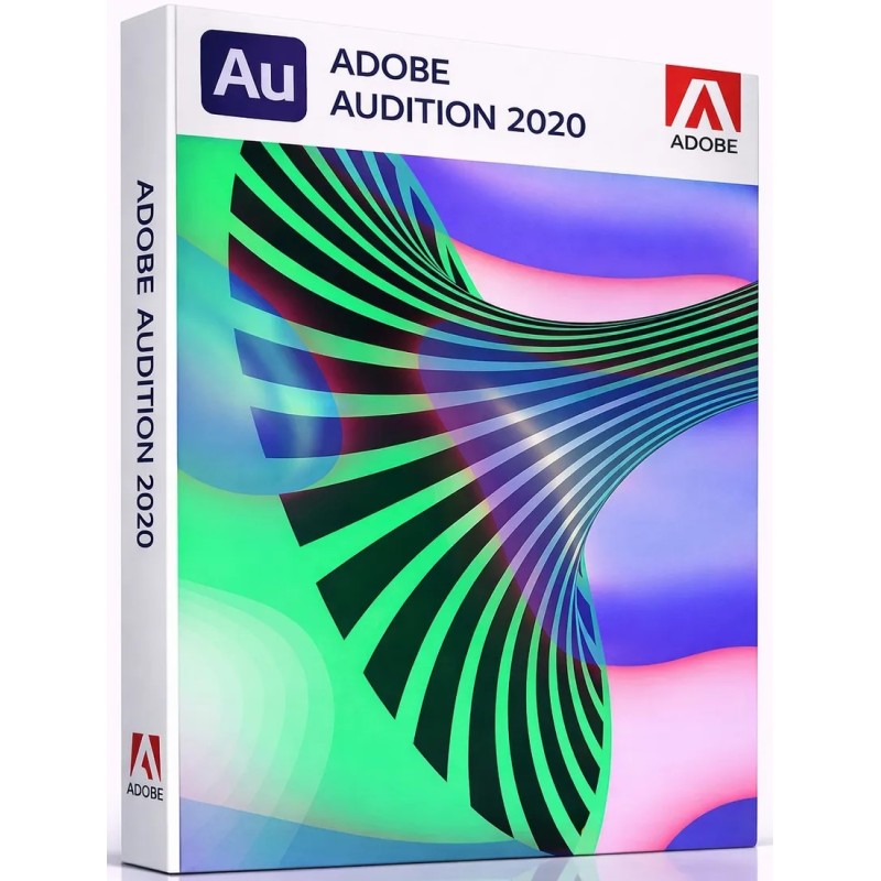 Audition - 2020 - Licencja Wieczysta - MegaIT
