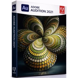 Audition - 2021 - Licencja Wieczysta - MegaIT