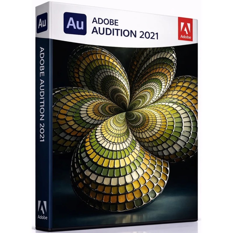 Audition - 2021 - Licencja Wieczysta - MegaIT