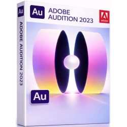 Audition - 2023 - Licencja Wieczysta - MegaIT