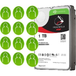 DYSK SEAGATE IronWolf ST1000VN008 1TB