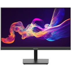 Monitor Hikvision DS-D5024F2-AP2