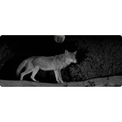 Kamera IP Ezviz EB8 Pro Ranger 8MP z panelem słonecznym 8W 4G Wi-Fi