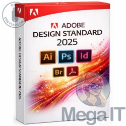 Design Standard 2025