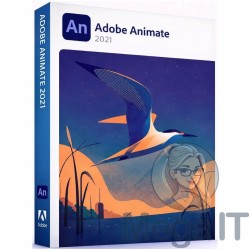Animate 2021 - Licencja Wieczysta - MegaIT