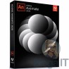 Animate 2020 - Licencja Wieczysta - MegaIT