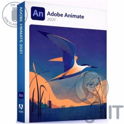 Animate 2021 - Licencja Wieczysta - MegaIT