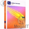 Animate 2023 - Licencja Wieczysta - MegaIT