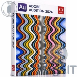 Audition - 2024 - Licencja Wieczysta - MegaIT