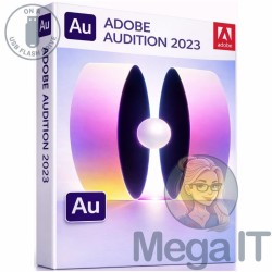 Audition - 2023 - Licencja Wieczysta - MegaIT