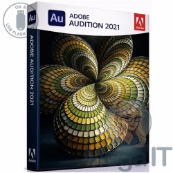 Audition - 2021 - Licencja Wieczysta - MegaIT