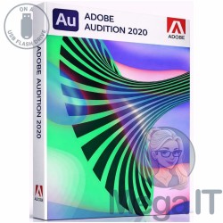 Audition - 2020 - Licencja Wieczysta - MegaIT
