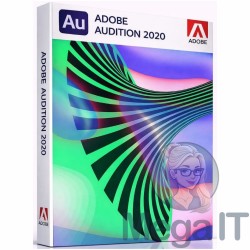Audition - 2020 - Licencja Wieczysta - MegaIT
