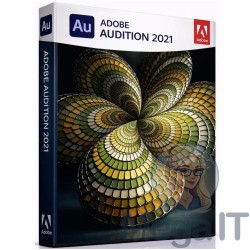 Audition - 2021 - Licencja Wieczysta - MegaIT