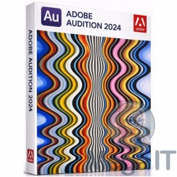 Audition - 2024 - Licencja Wieczysta - MegaIT