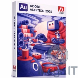 Audition - 2025 - Licencja Wieczysta - MegaIT