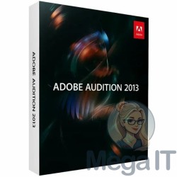 Audition 2013 - Licencja Wieczysta (LifeTime) - MegaIT