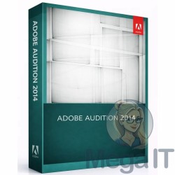 Audition 2014 - Licencja Wieczysta (LifeTime) - MegaIT