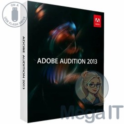 Audition 2013 - Licencja Wieczysta (LifeTime) - MegaIT