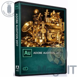 Audition 2017 - Licencja Wieczysta (LifeTime) - MegaIT
